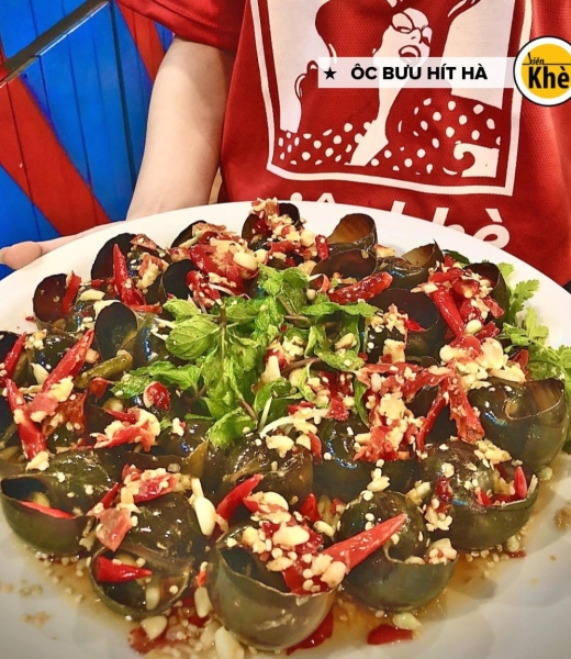Ốc Bươu Hít Hà 149